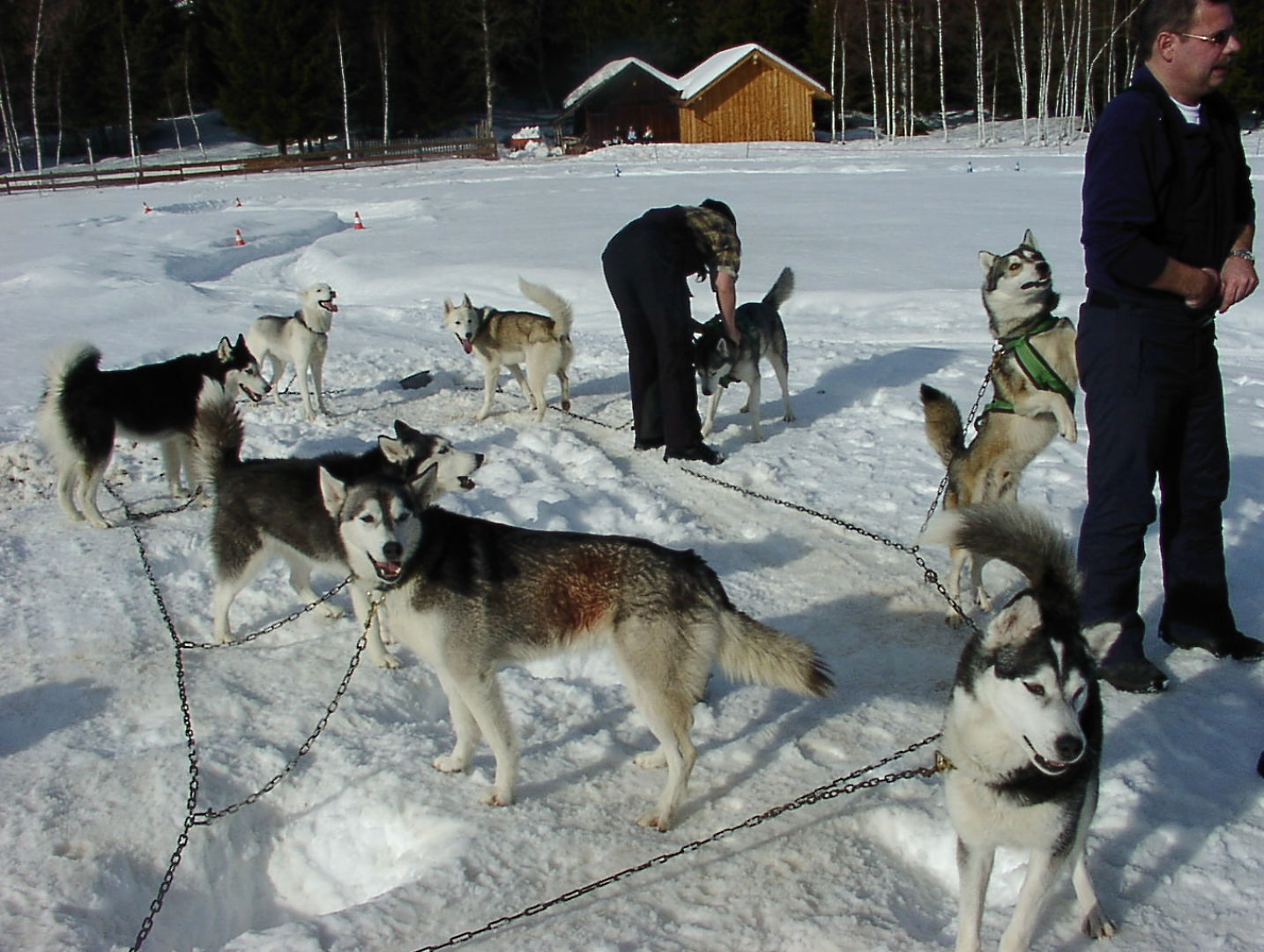 Husky Workshop