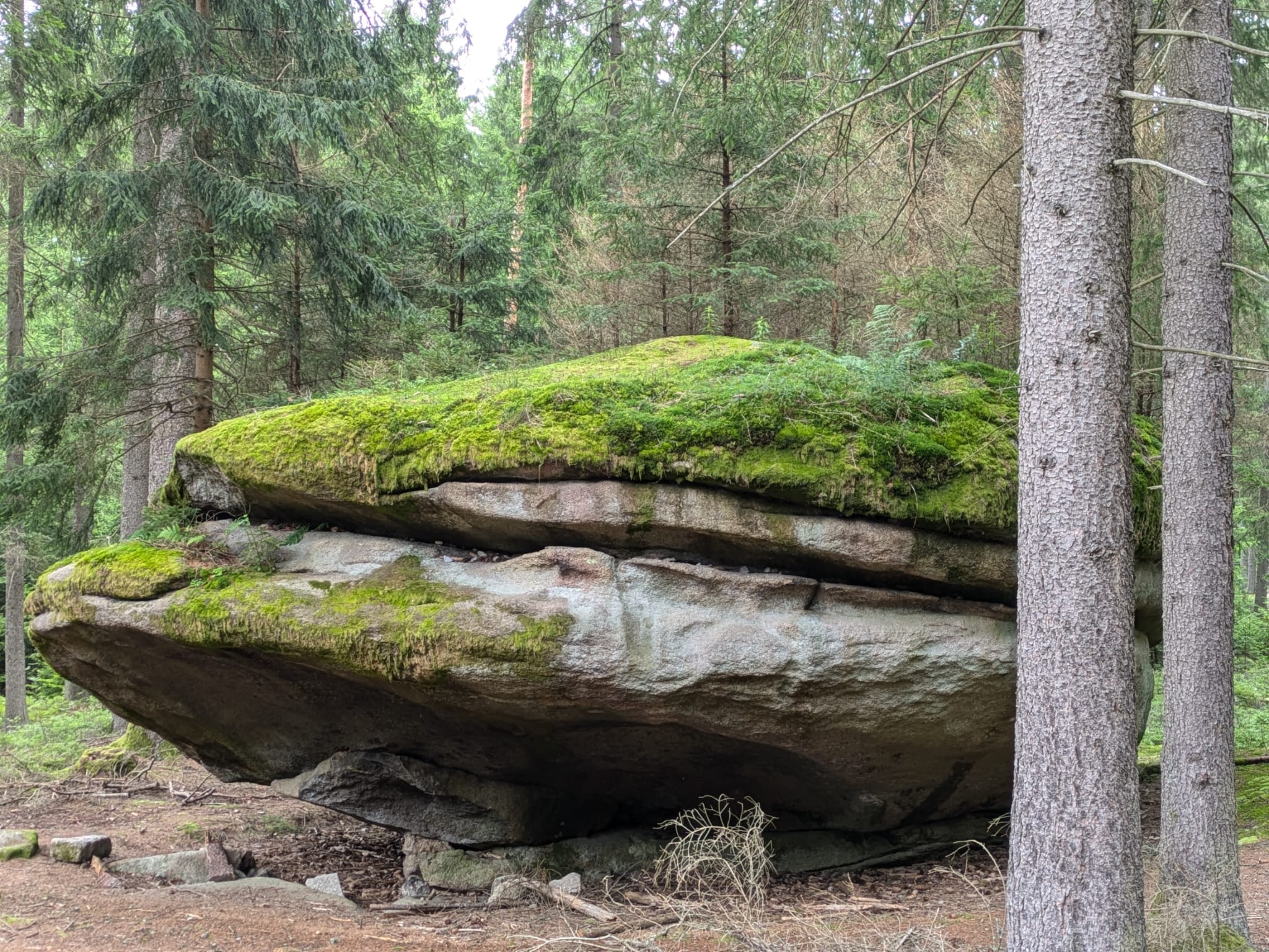 br--br--br--events-die-bewegen